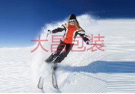 B型新雪丽
