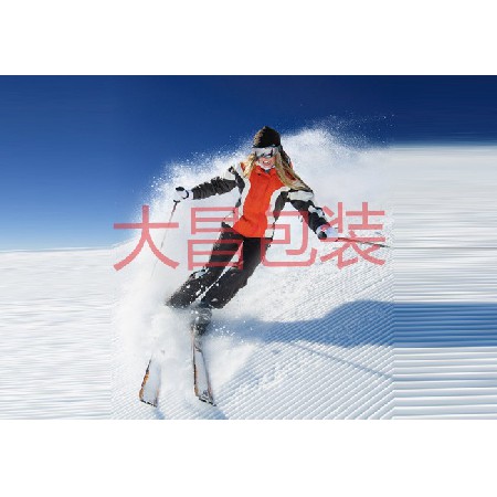 B型新雪丽